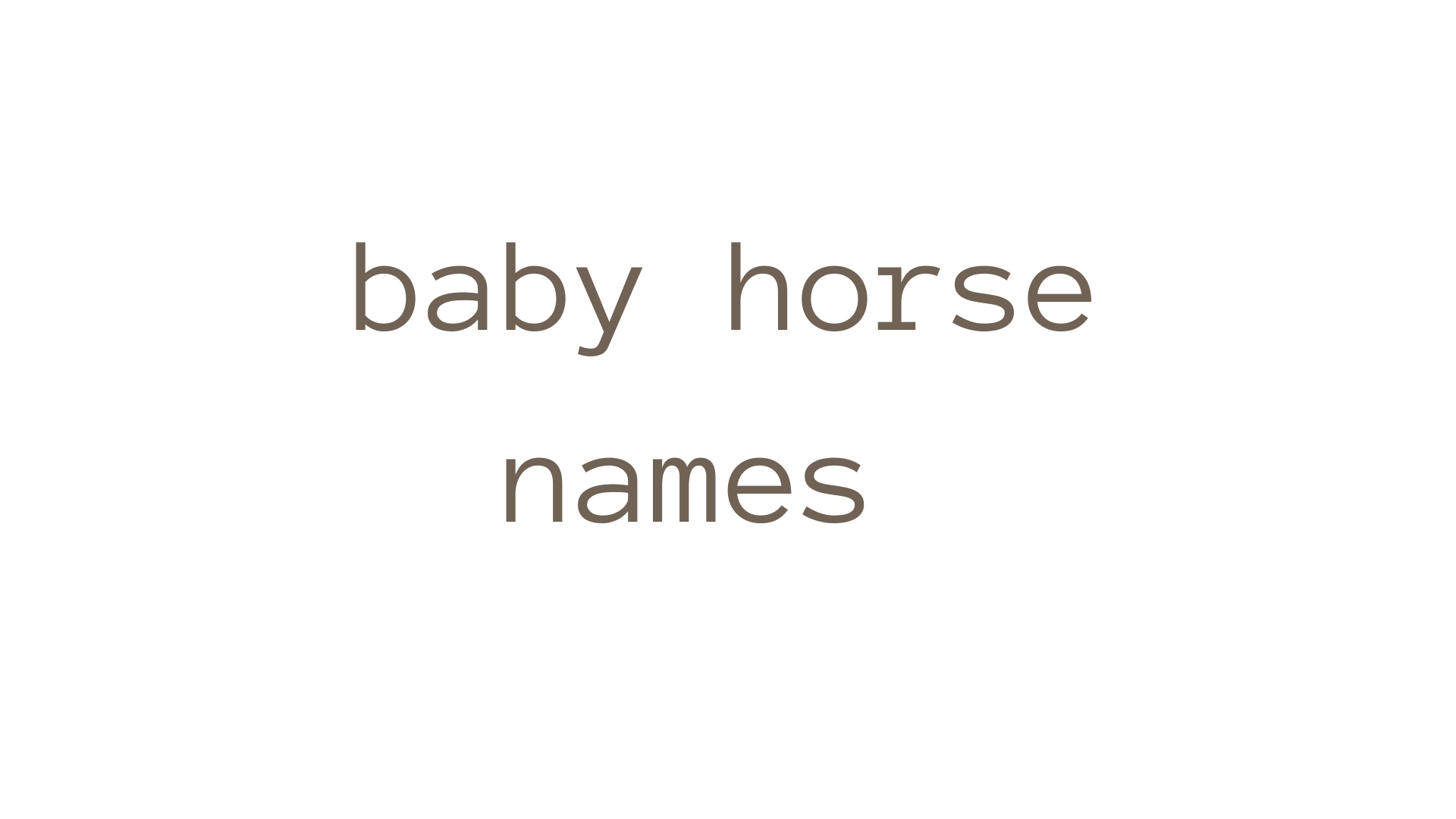 baby horse names