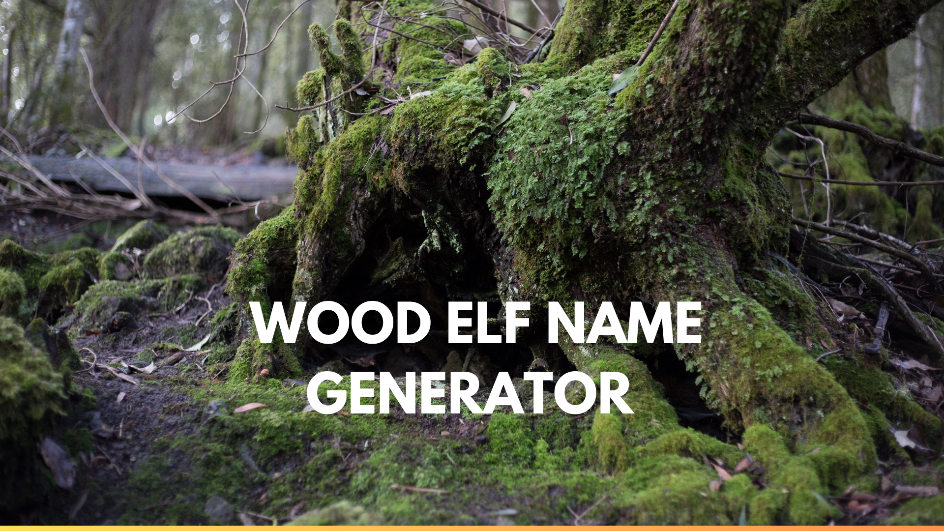 wood elf names