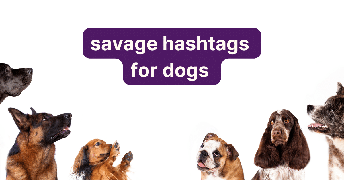 savage hashtags for dogs