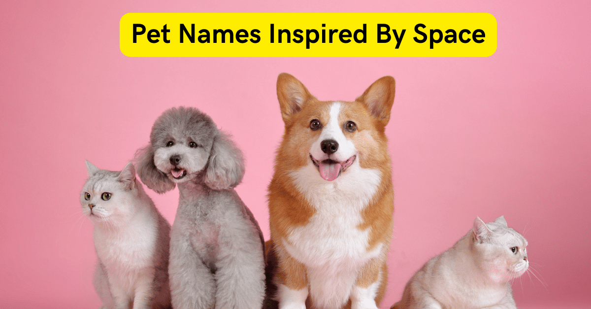 Pet Names Inspired By Space