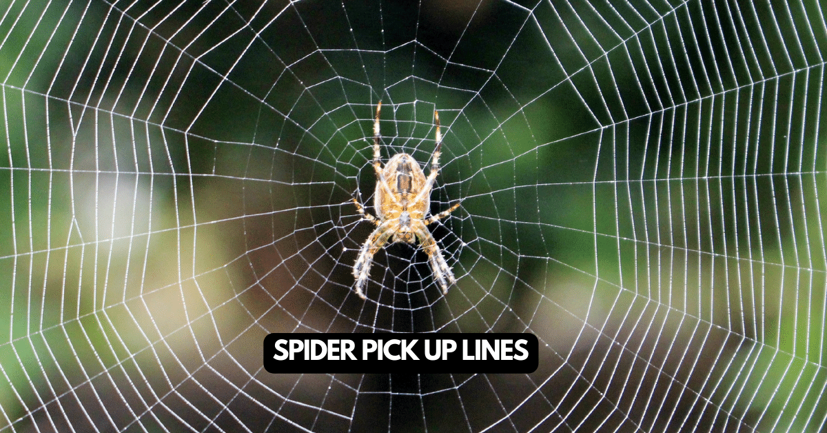 Spider Pick Up Lines