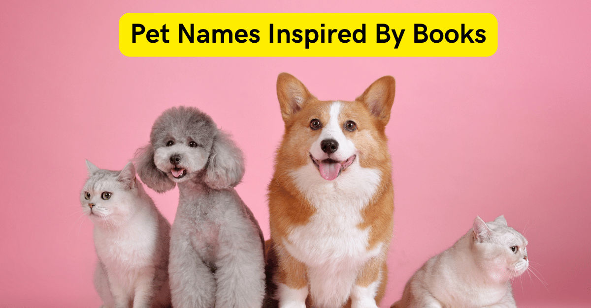 Pet Names Inspired By Books 1 