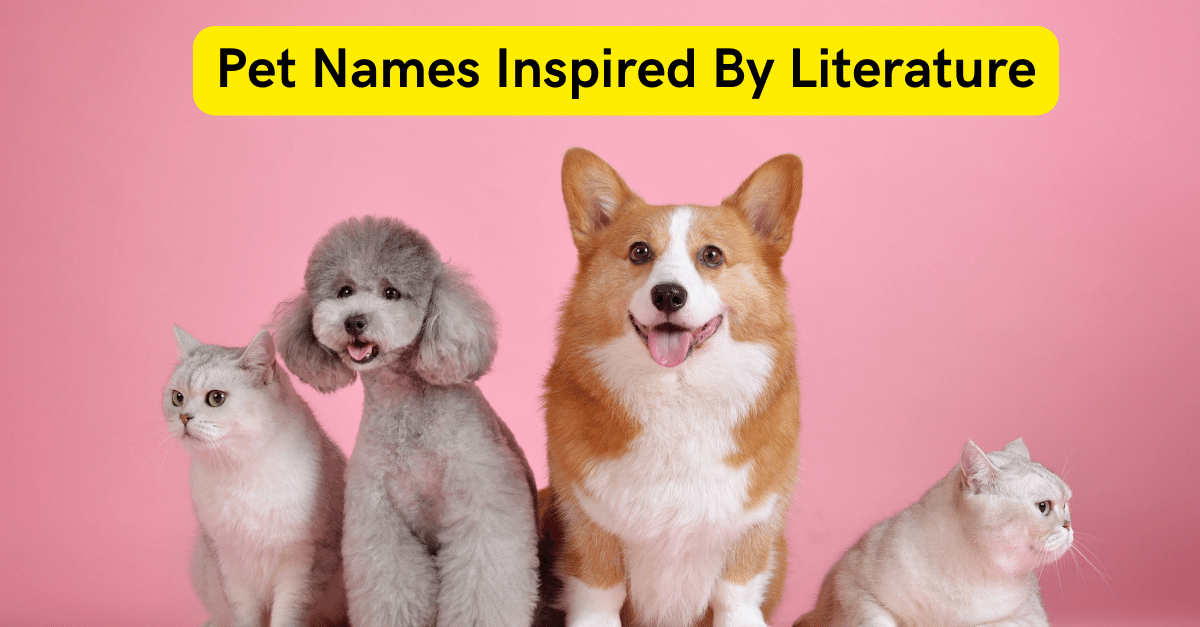 Pet Names Inspired By Literature