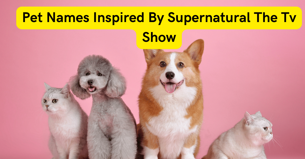 Pet Names Inspired By Supernatural The Tv Show