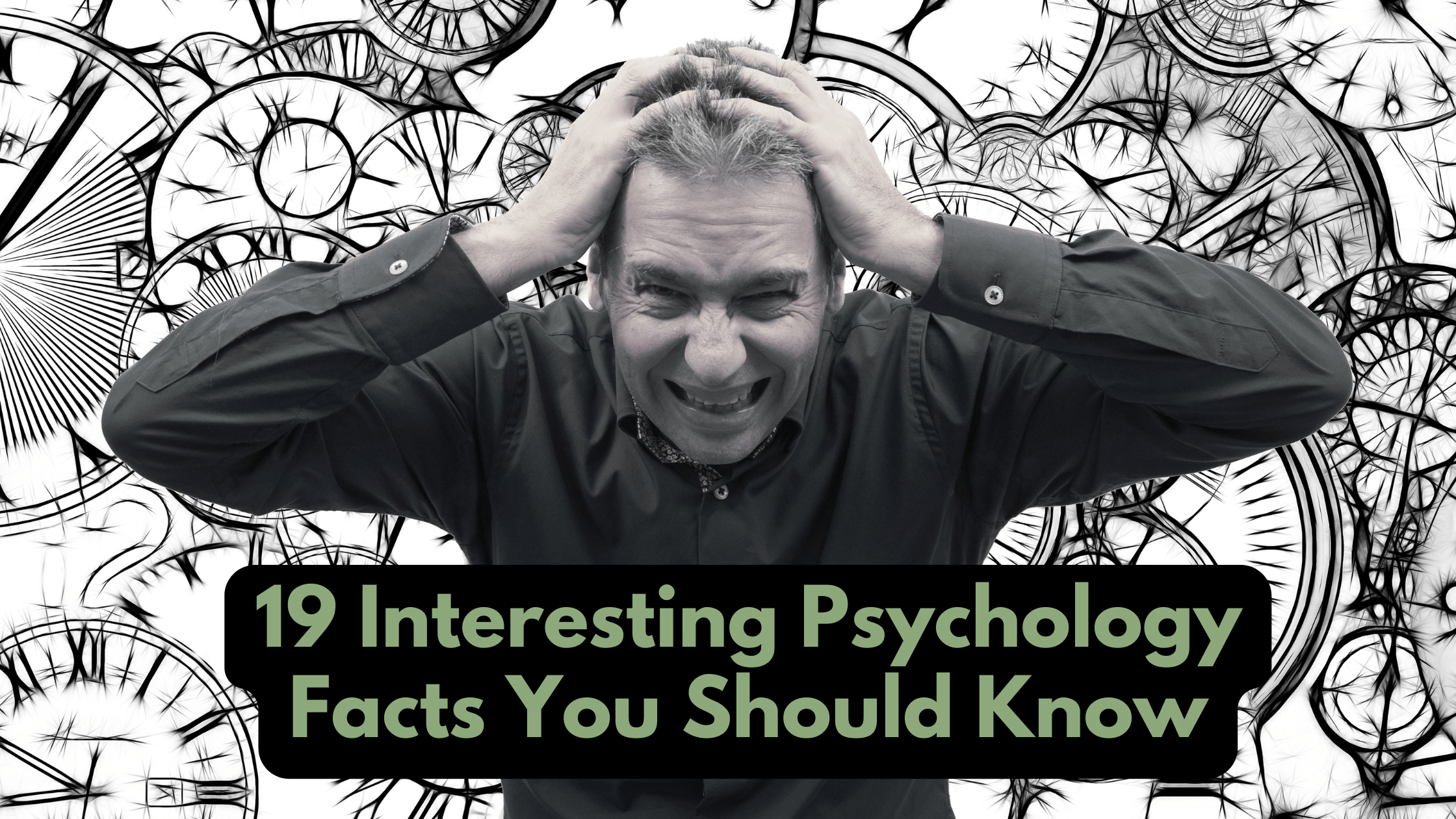 Psychology Facts You Should Know